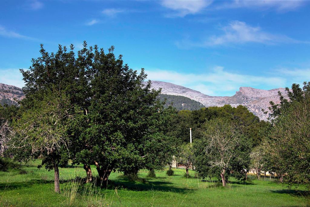 Finca Son Jorda Ferienhaus Campanet